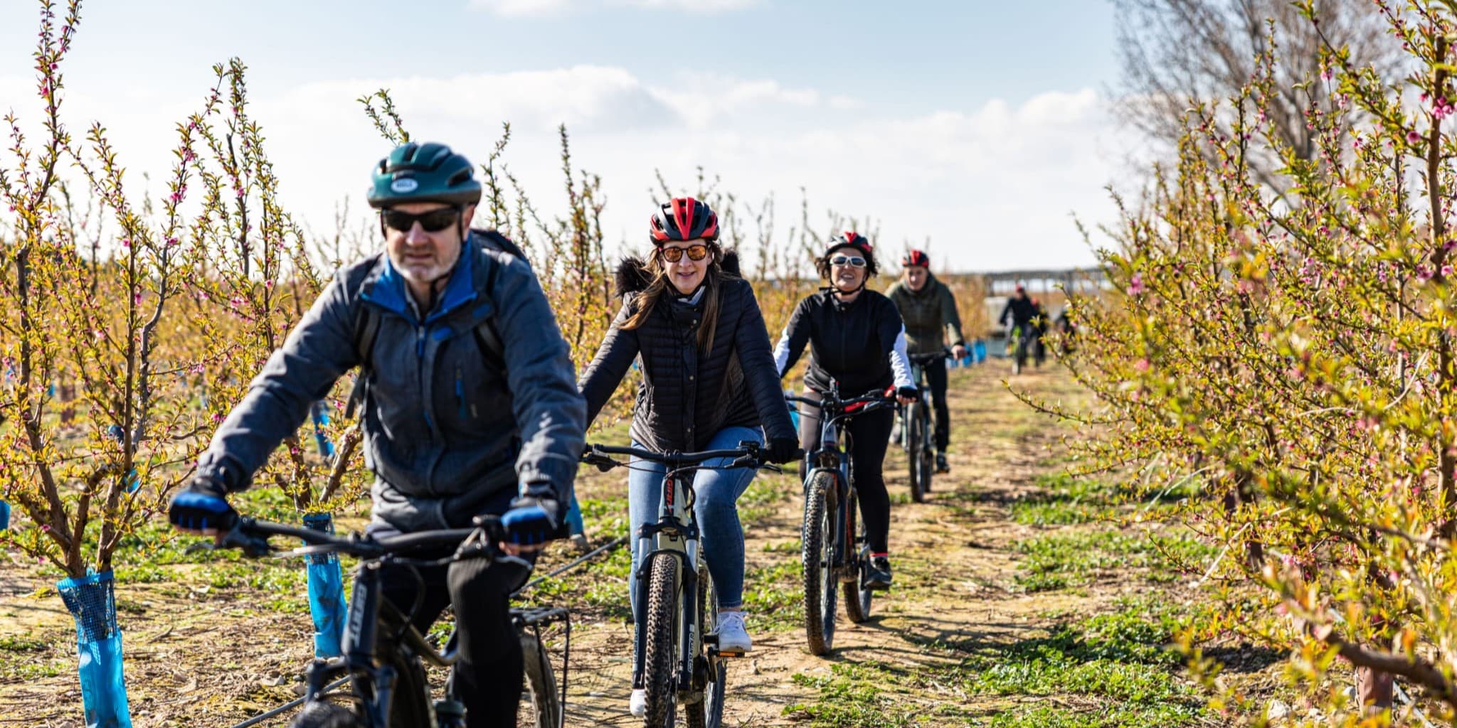 Ponent Explorers Ponent Explorers Home